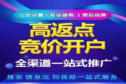 谷歌竞价广告的投放策略与成功案例分析
